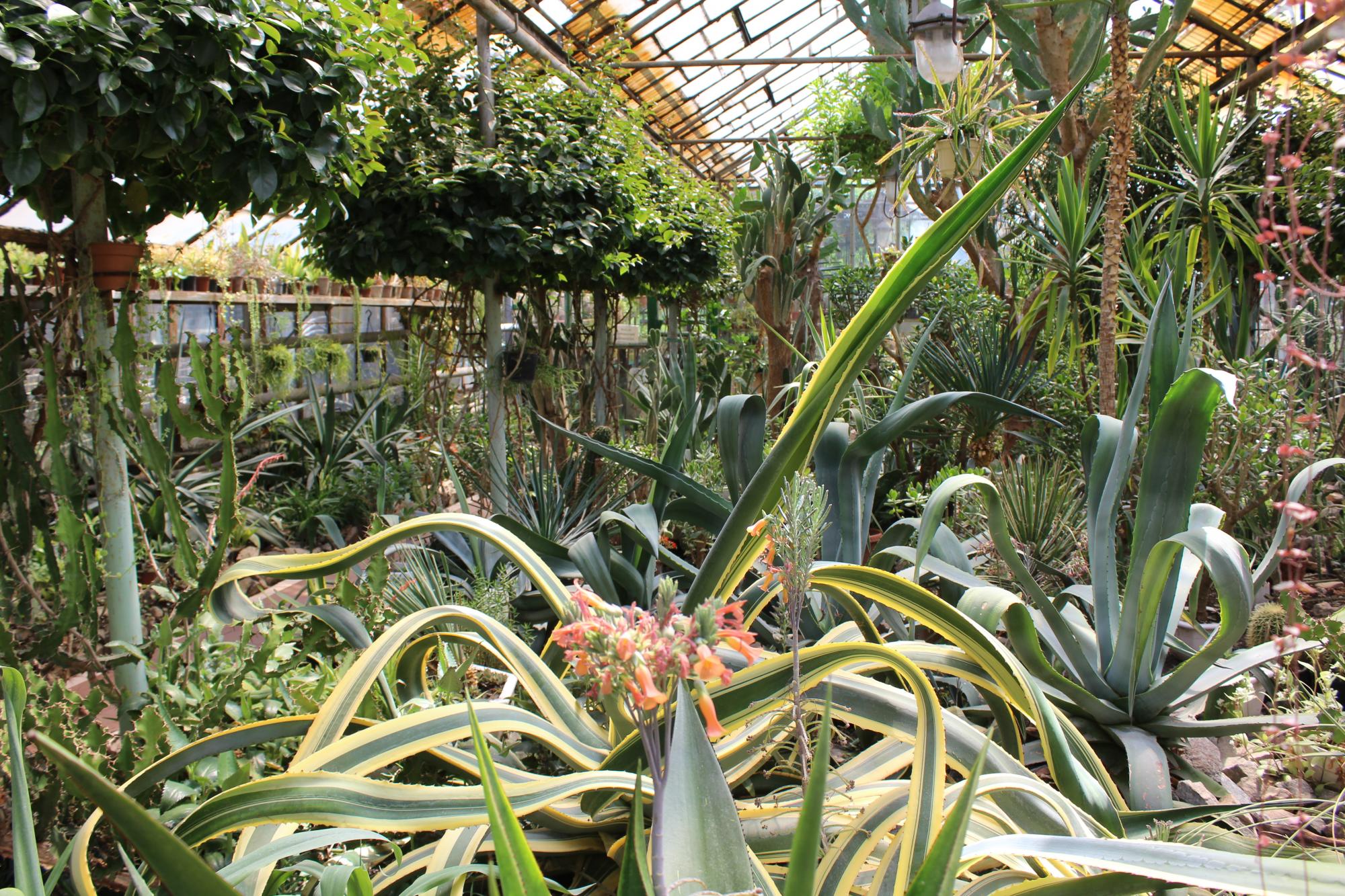 Рай на земле. 5 самых крутых ботанических садов Украины